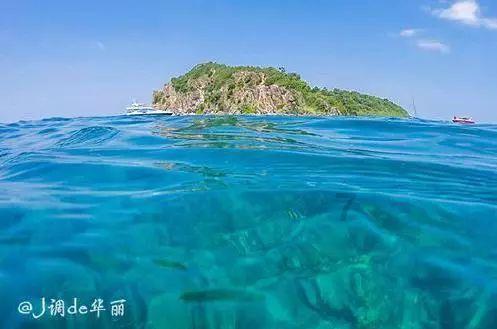 球球大作战下载最新版